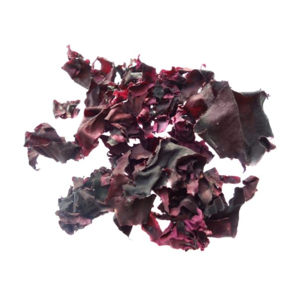 Palmaria palmata (Lappentang), Alge getrocknet, ganze Thalli, 60g