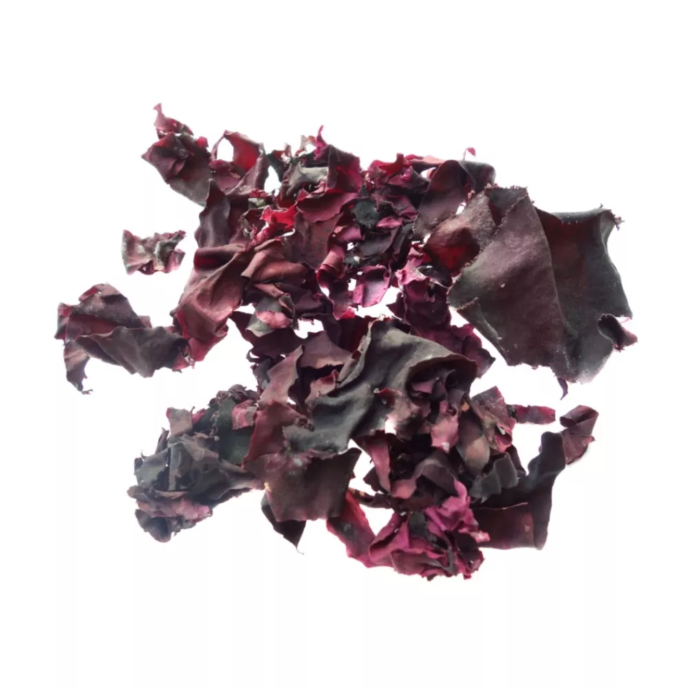 Palmaria palmata (Lappentang), Alge getrocknet, ganze Thalli, 50g