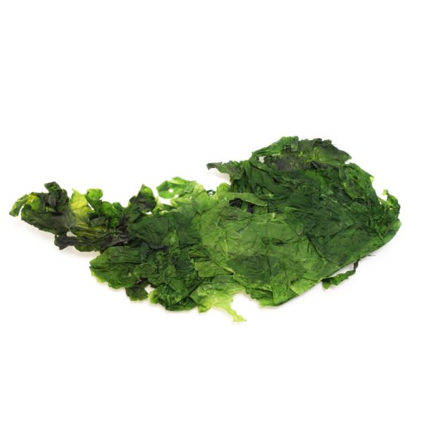 Ulva lactuca (Meersalat), Alge getrocknet, ganze Thalli, 40g