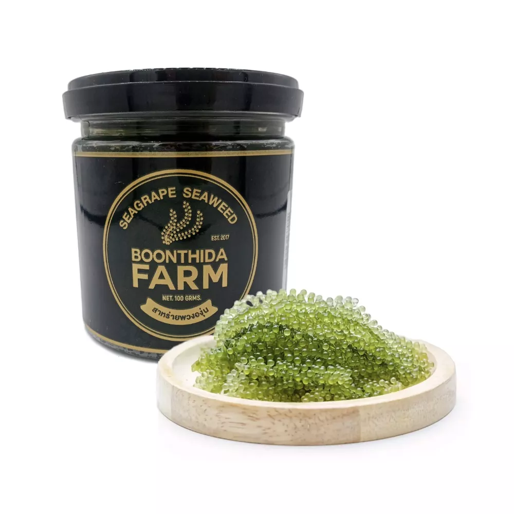 Meerestraube / Grüner Kaviar, 200g Glas