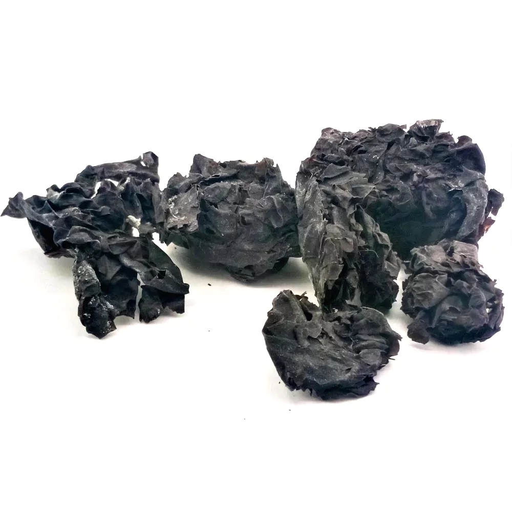 Porphyra (Sushi-Alge), getrocknet, ganze Thalli, 20g